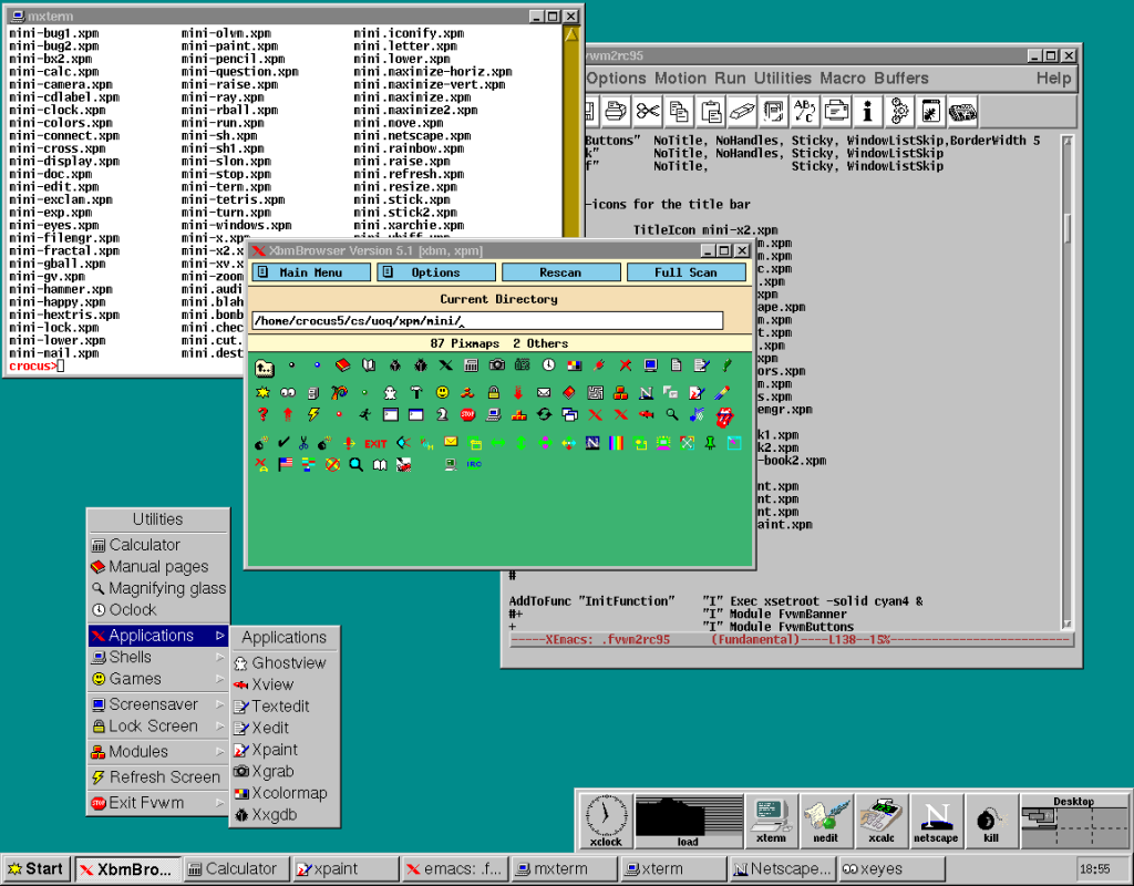 The FVWM-95 home page